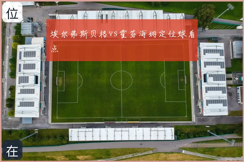 埃尔弗斯贝格vs霍芬海姆定位球看点